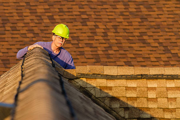 Best Metal Roofing Contractor  in Eagle Butte, SD